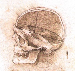 View_of_a_Skull_II